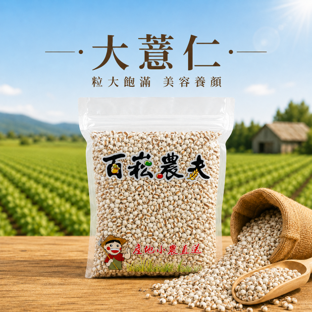 大薏仁